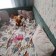 review preview photo № 1