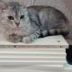review photo № 3