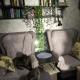 review preview photo № 1