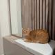review photo № 8