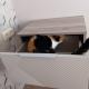 review preview photo № 1