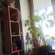 review photo № 4