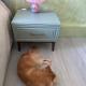review photo № 7