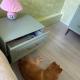review photo № 8