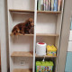 review photo № 6