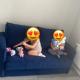 review preview photo № 1