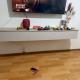 review photo № 4