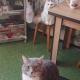 review photo № 9